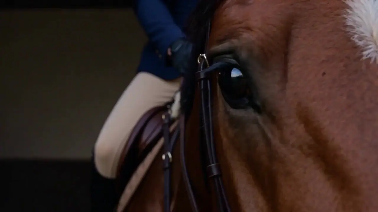 A saddled chestnut horse and helmeted rider in a cinematic stable setting